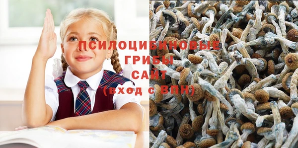 бутират Абаза
