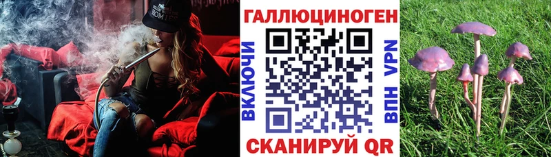 Галлюциногенные грибы Psilocybe  маркетплейс наркотические препараты  Елизаветинская 